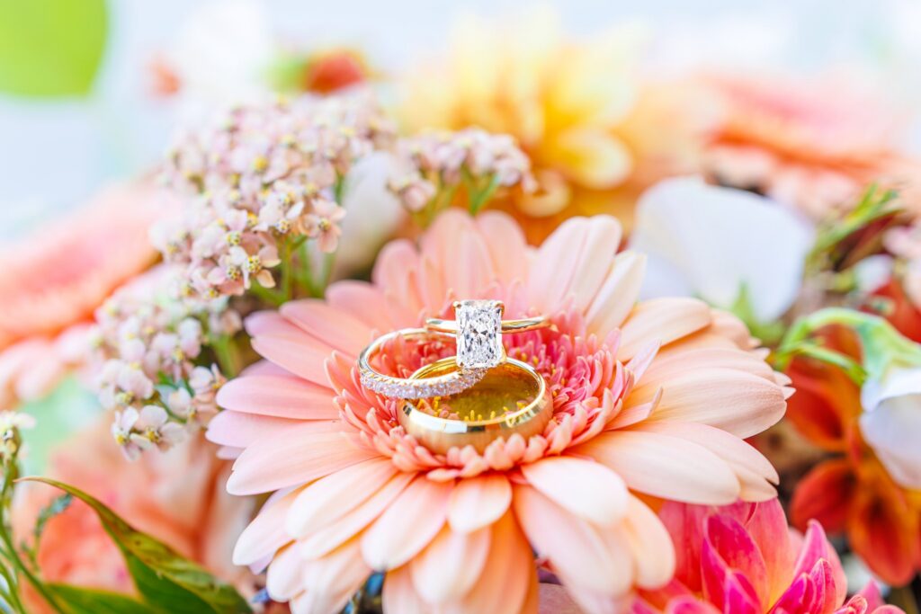 fall wedding at carrollock farms raleigh north carolina wedding photographer